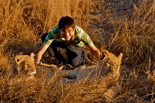 Michael Teoh Rescue and Restore the Endangered African Lions in the Wilds